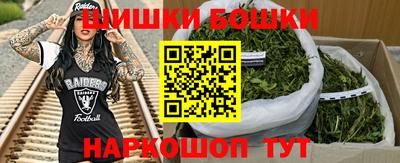 шишки Лесосибирск