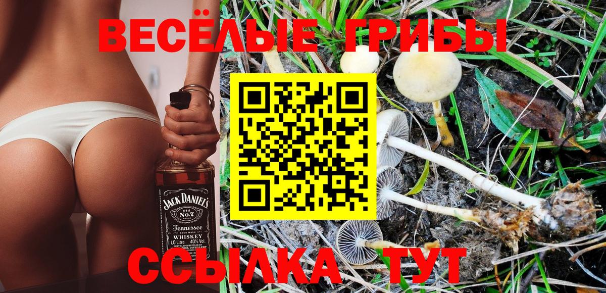 Галлюциногенные грибы мицелий Каменка